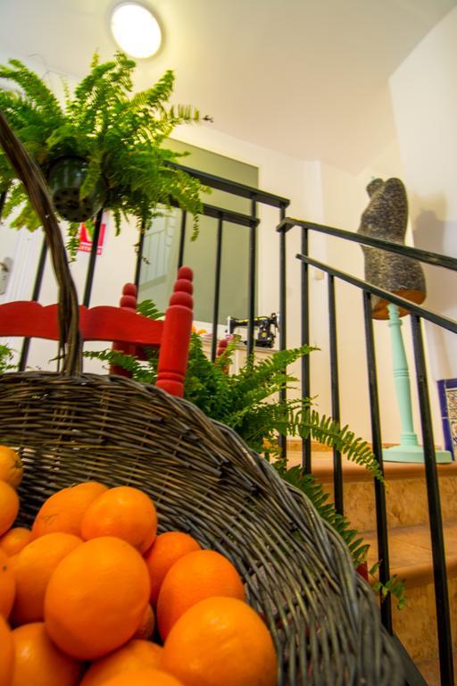 גרנדה San Jose Guest House מראה חיצוני תמונה